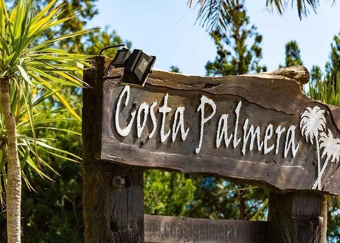 Costa Palmera A 295 M De Playa